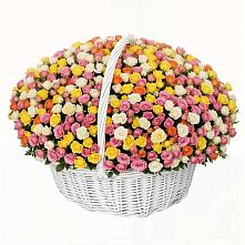 Премиум букет из: Розы в Иркутске