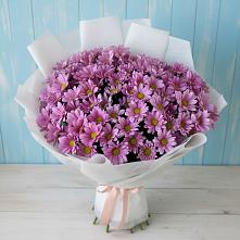Букет цветов из:  Хризантемы в Иркутске