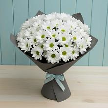Букет цветов из:  Хризантемы #REPLACE_PRED# Иркутске