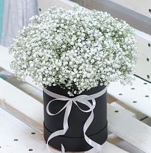 Цветочная композиция из Гипсофила в шляпной коробке в Иркутске