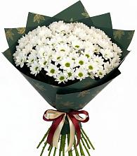 Букет цветов из:  Хризантемы #REPLACE_PRED# Иркутске